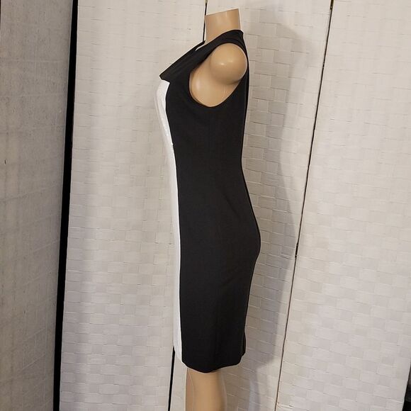 BRAND NEW STEVIE MAC COLOR BLOCKED SLEEVELESS SHEATH DRESS - Picture 9 of 13